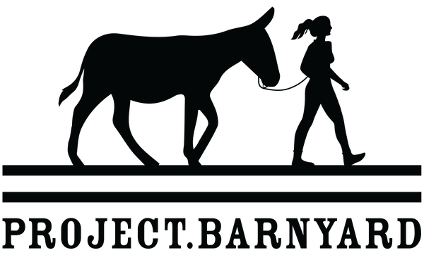 Project Barnyard